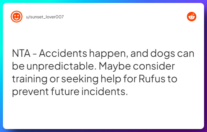 Comment from u/sunset_lover007