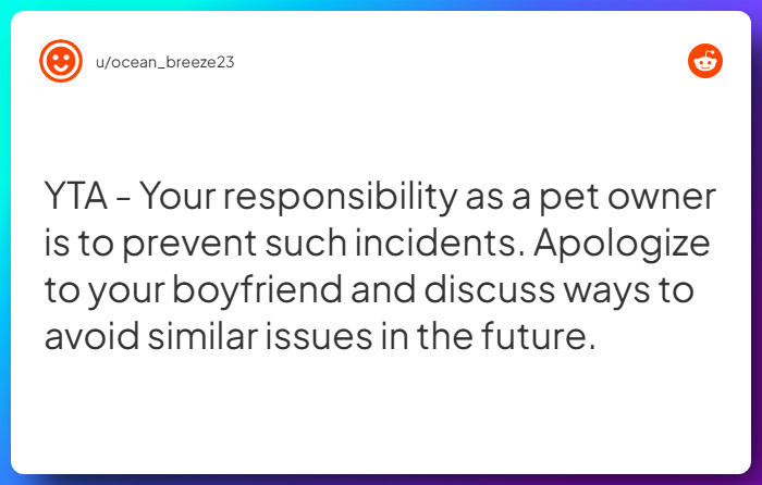 Comment from u/ocean_breeze23