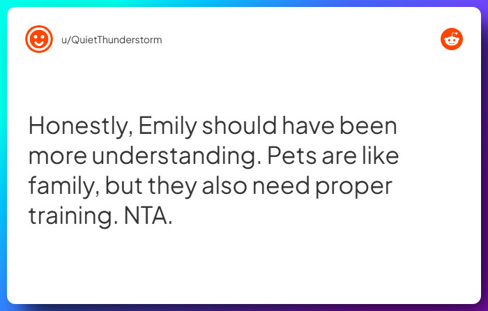 Comment from u/QuietThunderstorm