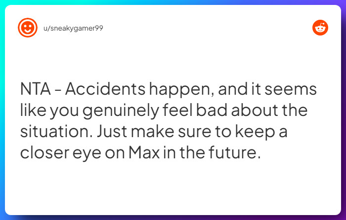 Comment from u/sneakygamer99