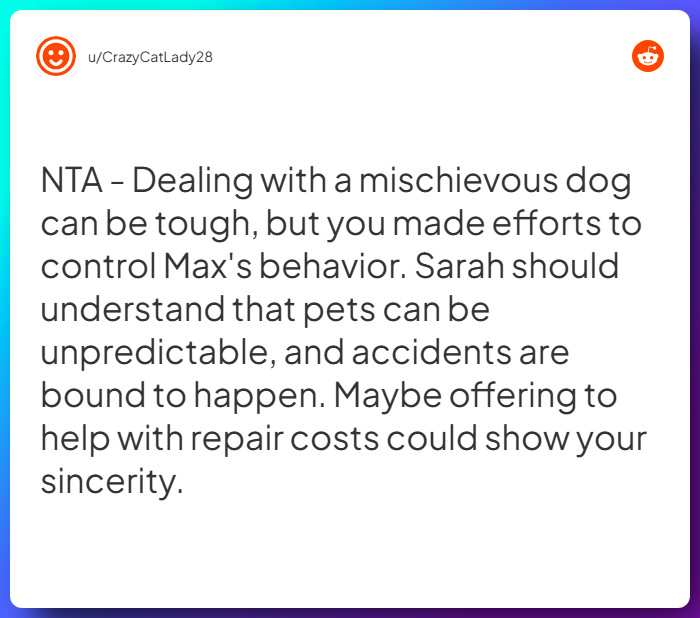 Comment from u/CrazyCatLady28