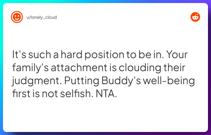 Comment from u/lonely_cloud