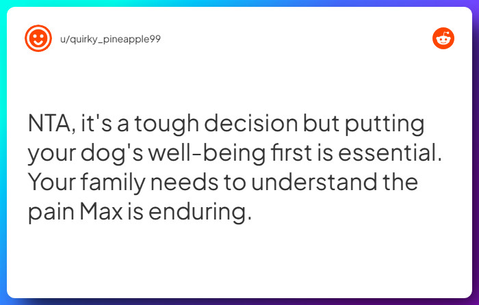 Comment from u/quirky_pineapple99