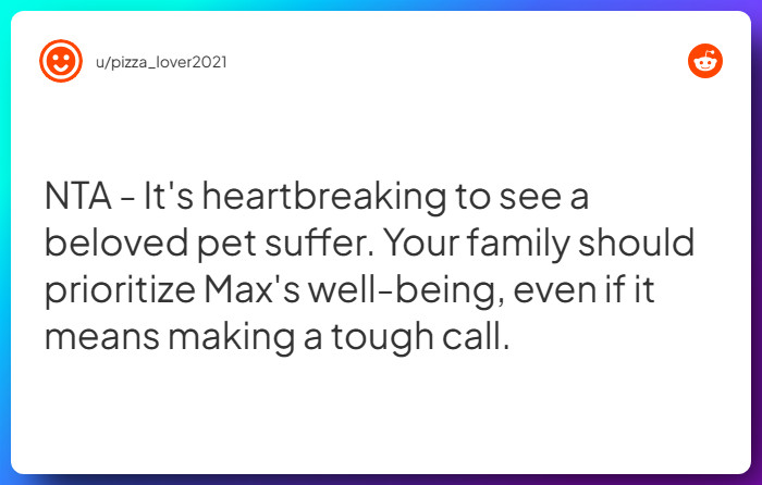 Comment from u/pizza_lover2021