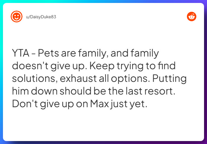 Comment from u/DaisyDuke83