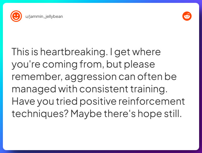 Comment from u/jammin_jellybean