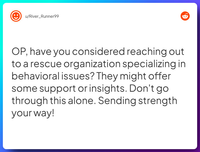 Comment from u/River_Runner99