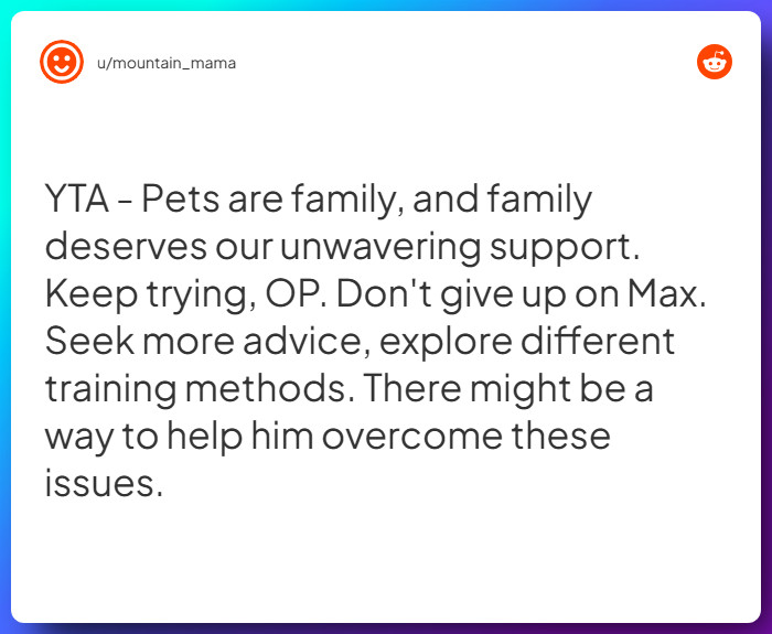 Comment from u/mountain_mama