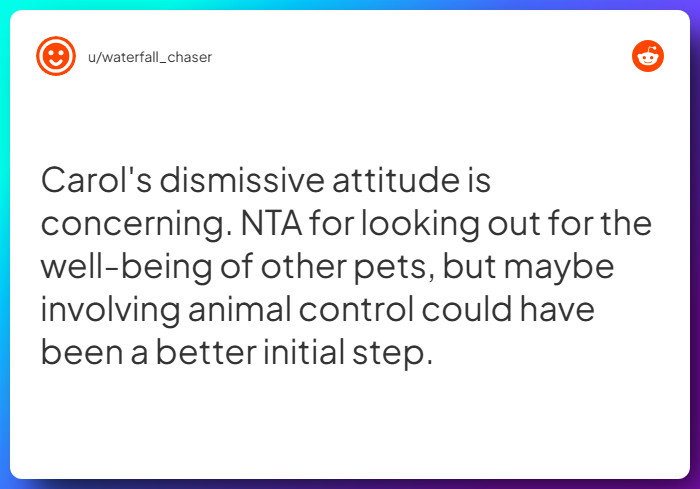 Comment from u/waterfall_chaser