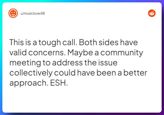 Comment from u/musiclover88