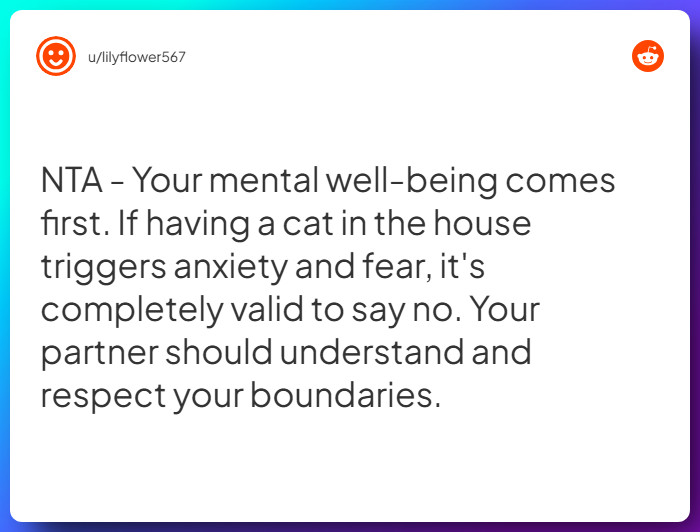 Comment from u/lilyflower567