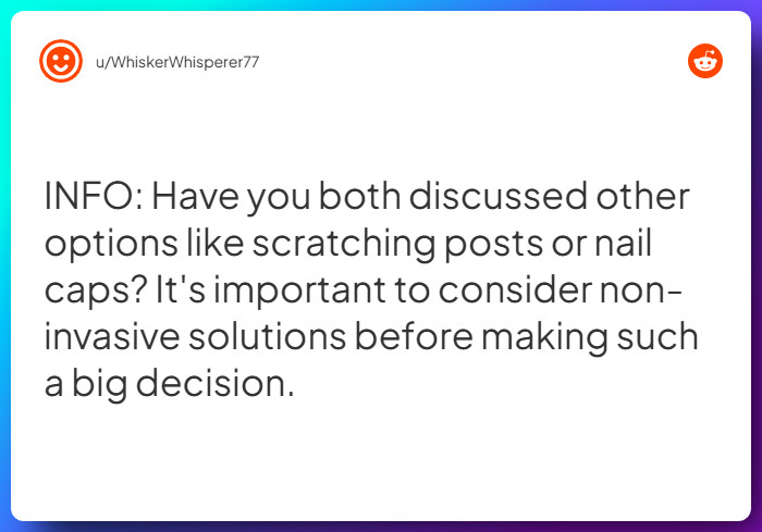 Comment from u/WhiskerWhisperer77