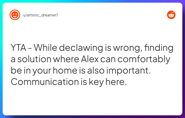 Comment from u/artistic_dreamer7