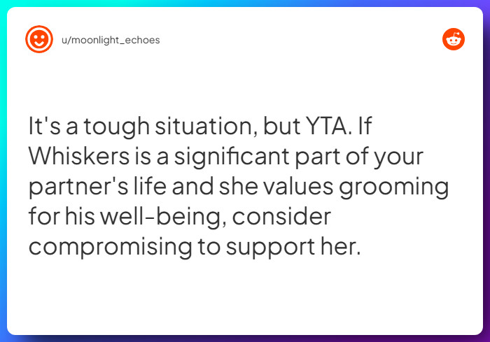 Comment from u/moonlight_echoes