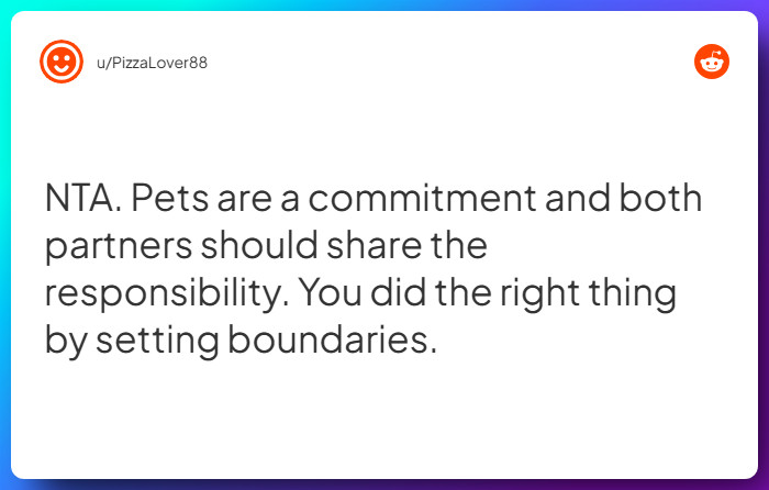 Comment from u/PizzaLover88