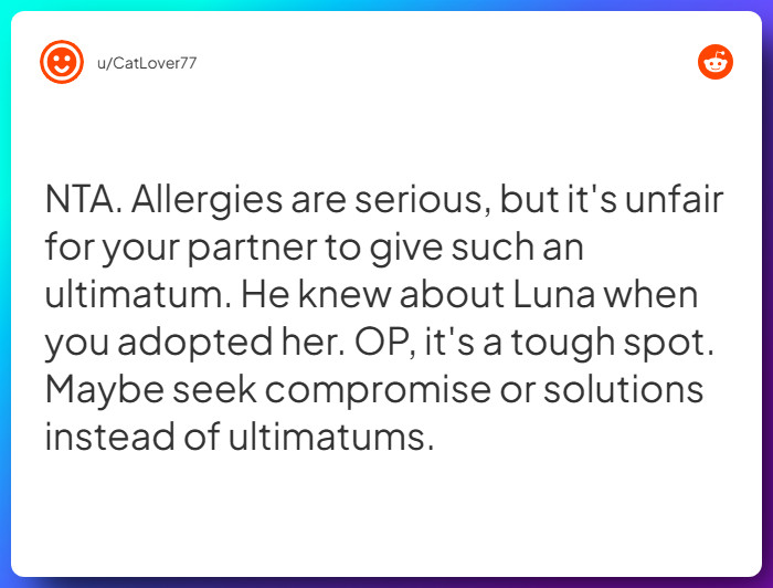 Comment from u/CatLover77