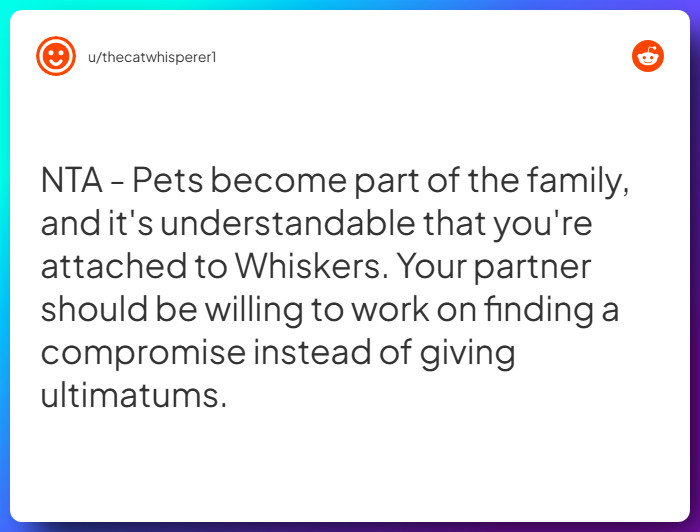Comment from u/thecatwhisperer1