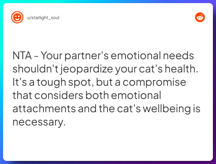 Comment from u/starlight_soul