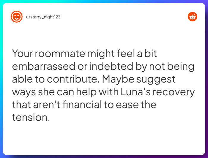 Comment from u/starry_night123