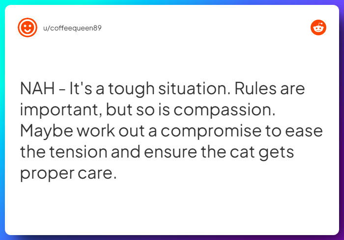 Comment from u/coffeequeen89