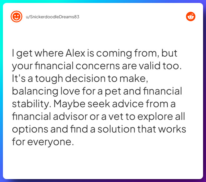 Comment from u/SnickerdoodleDreams83