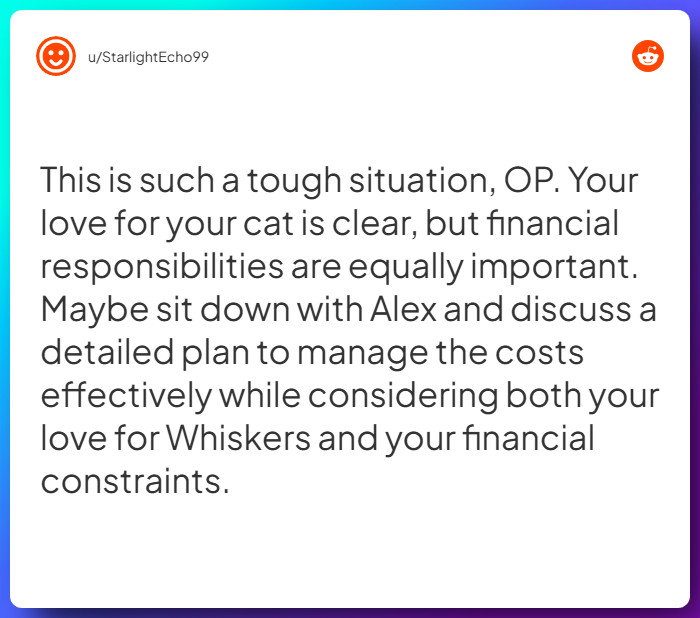 Comment from u/StarlightEcho99