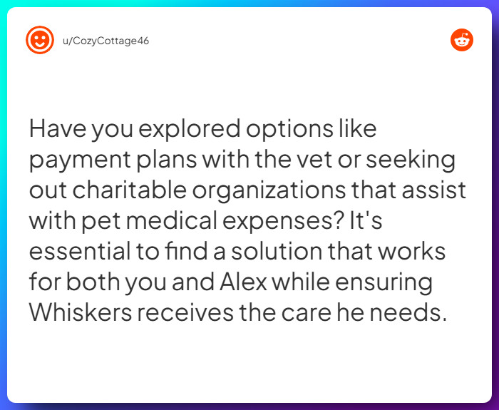 Comment from u/CozyCottage46