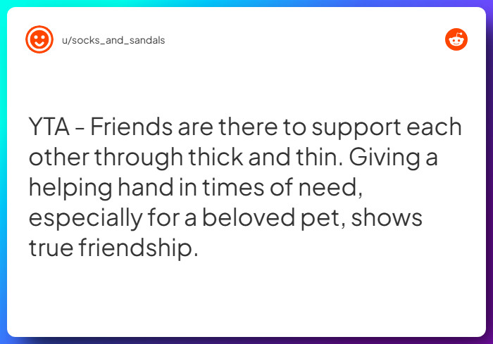 Comment from u/socks_and_sandals