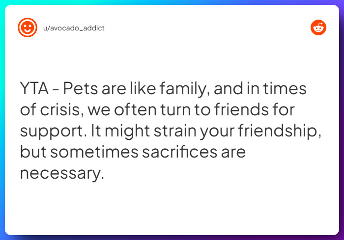 Comment from u/avocado_addict