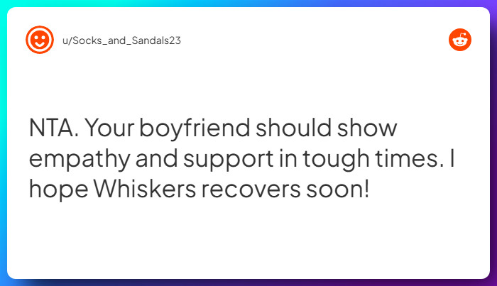 Comment from u/Socks_and_Sandals23