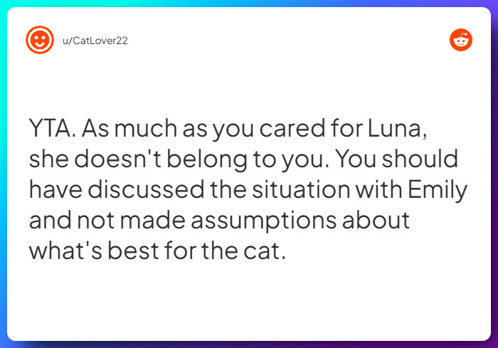 Comment from u/CatLover22