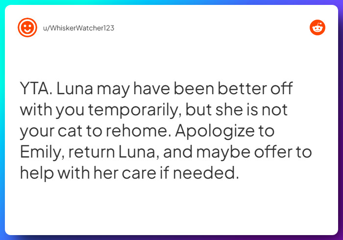 Comment from u/WhiskerWatcher123