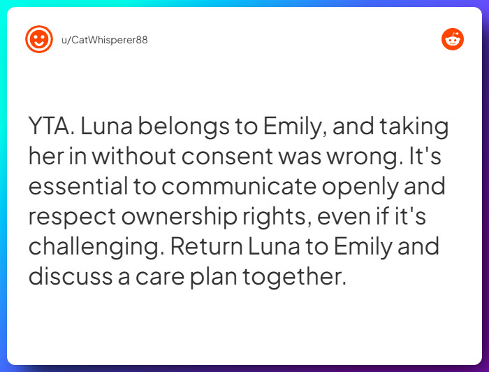 Comment from u/CatWhisperer88