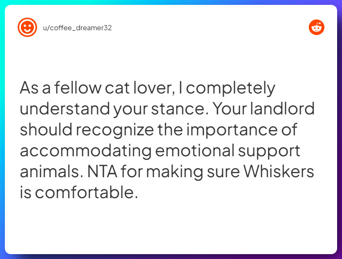 Comment from u/coffee_dreamer32