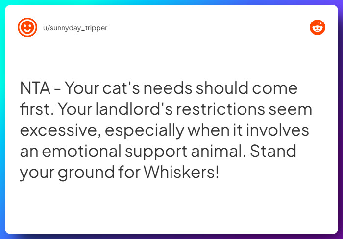 Comment from u/sunnyday_tripper