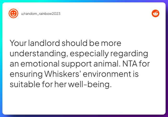 Comment from u/random_rainbow2023