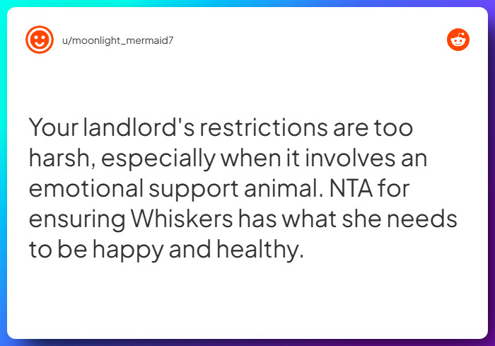 Comment from u/moonlight_mermaid7