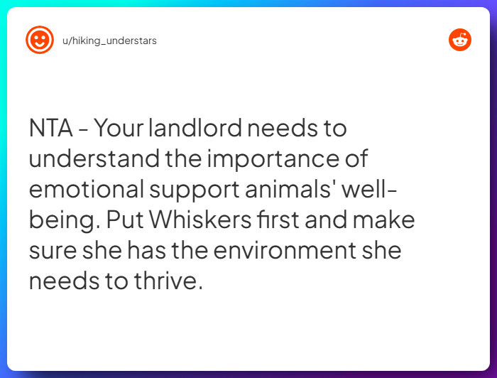 Comment from u/hiking_understars