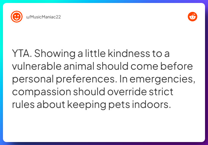 Comment from u/MusicManiac22