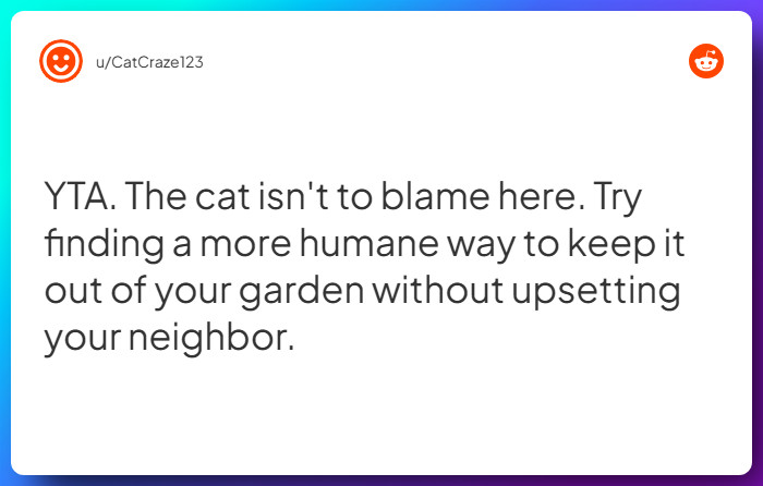 Comment from u/CatCraze123