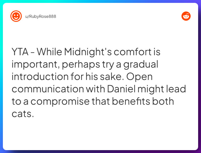 Comment from u/RubyRose888