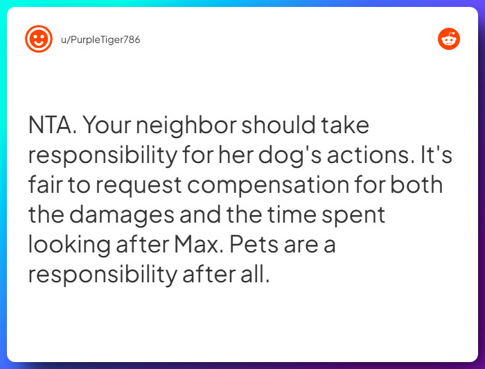 Comment from u/PurpleTiger786