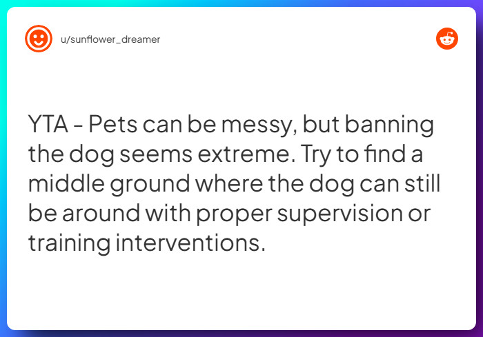 Comment from u/sunflower_dreamer