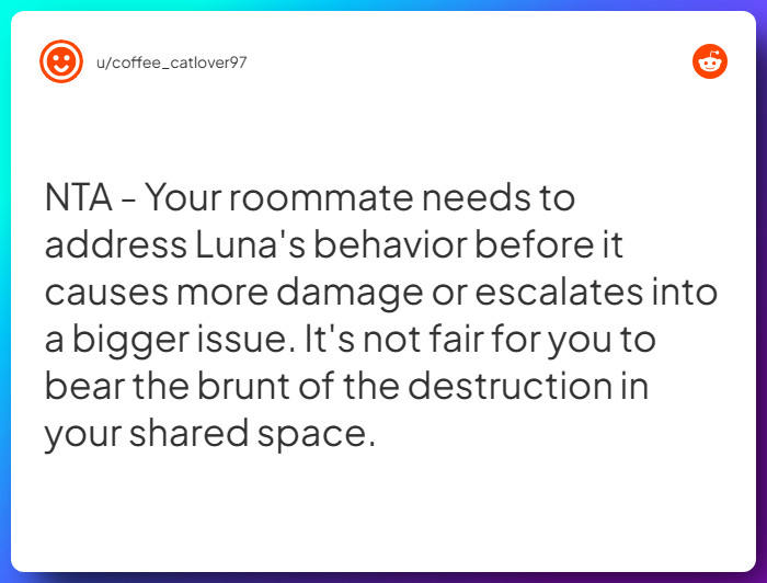 Comment from u/coffee_catlover97