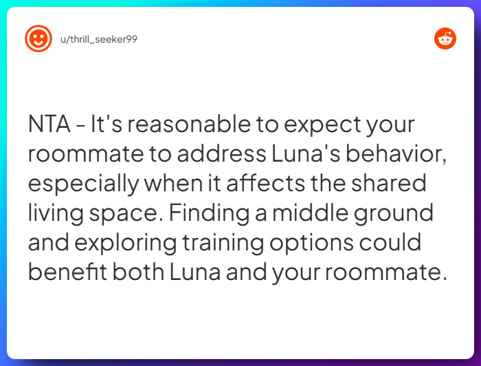 Comment from u/thrill_seeker99