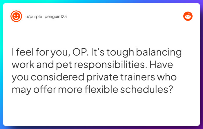 Comment from u/purple_penguin123