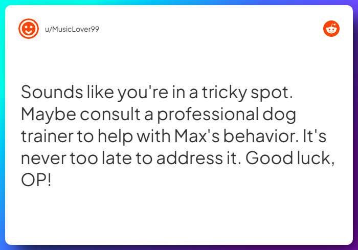 Comment from u/MusicLover99