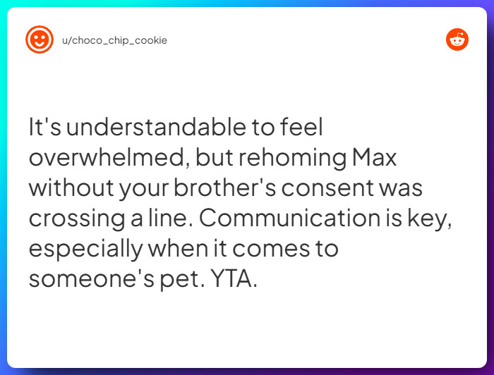 Comment from u/choco_chip_cookie