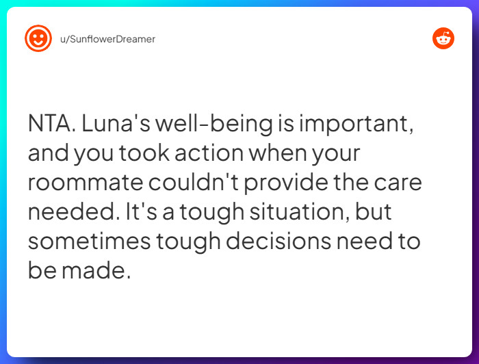 Comment from u/SunflowerDreamer