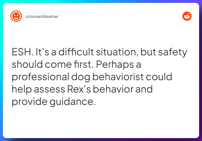 Comment from u/sunsetdreamer